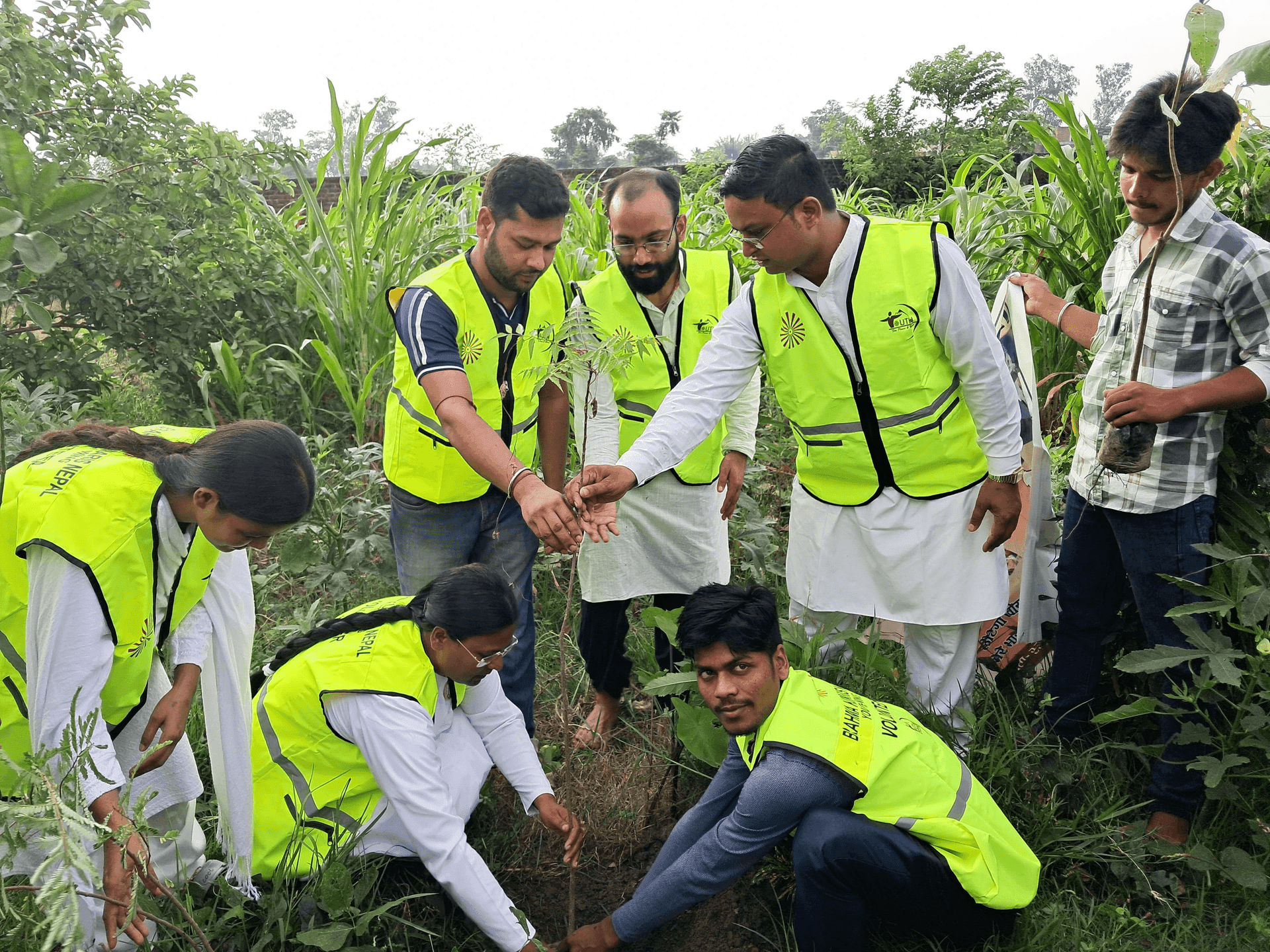Students participating in tree plantation drive